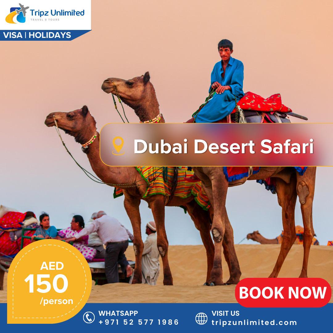 Dubai Desert Safari with Dune Bashing and BBQ Dinner